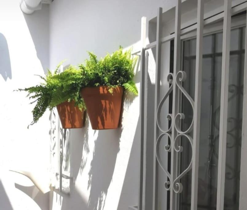 Villa La Marieta, Casita Acogedora Y Centrica Castilleja de la Cuesta Exterior foto